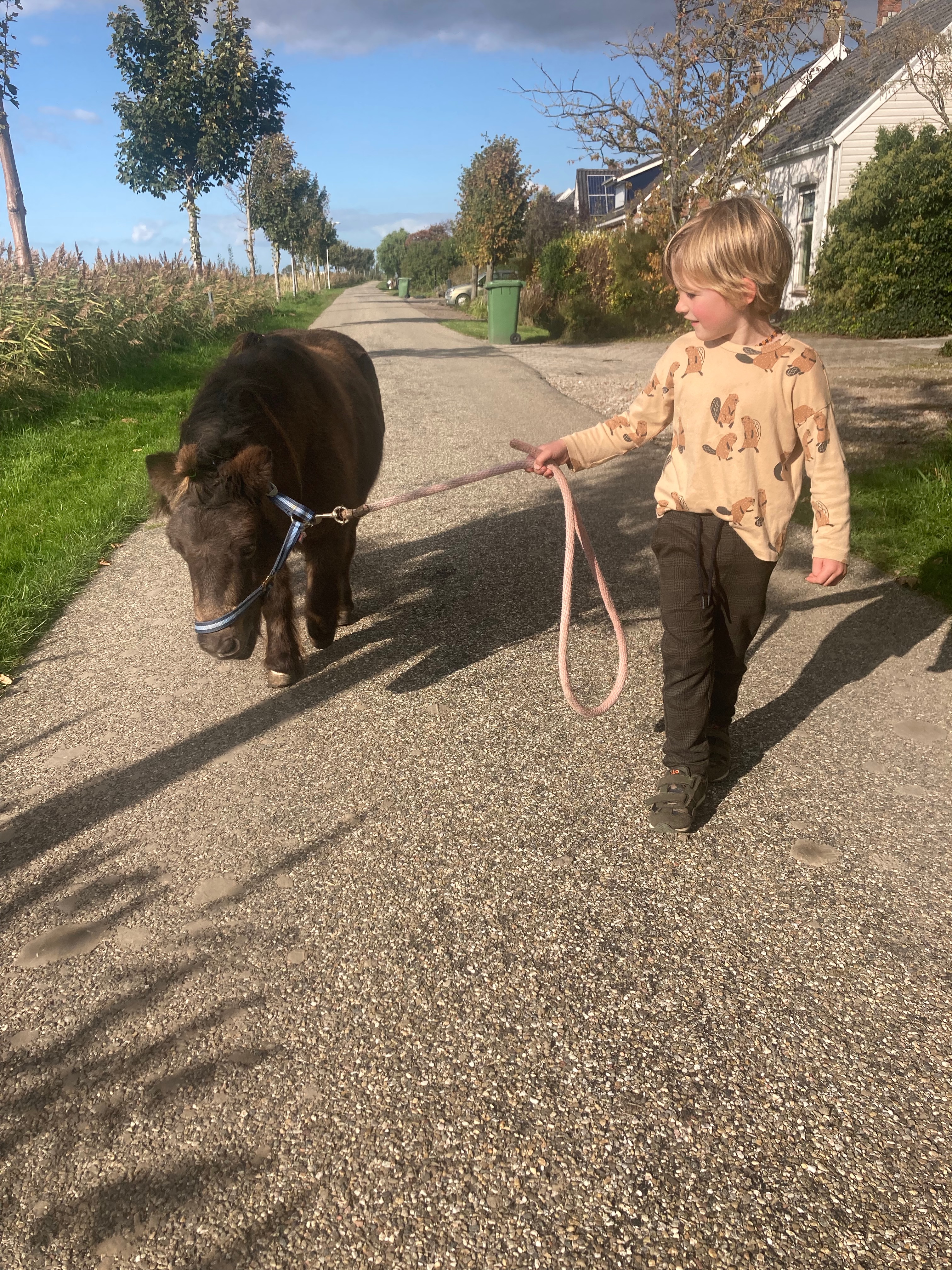 Op zijn gemak door de Groeneweg.